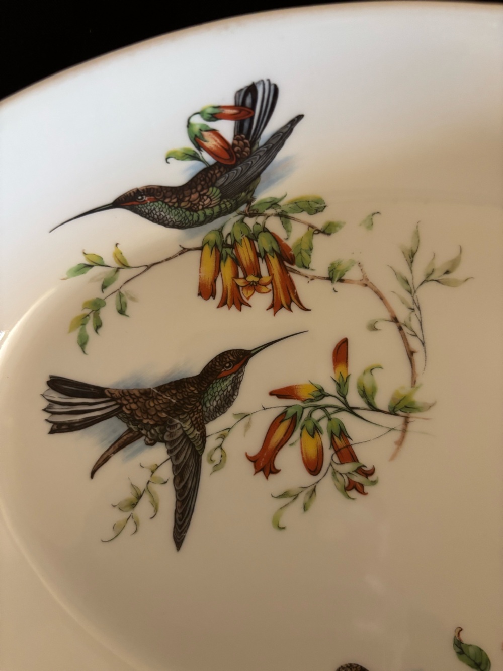 Pillivuyt France Porcelain Platter 14.5” Birds Floral Vintage